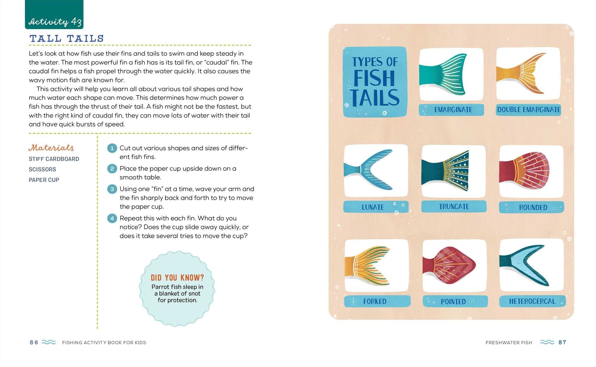 Fishing Activity Book for Kids: 50 Creative Projects to Inspire Curious Anglers