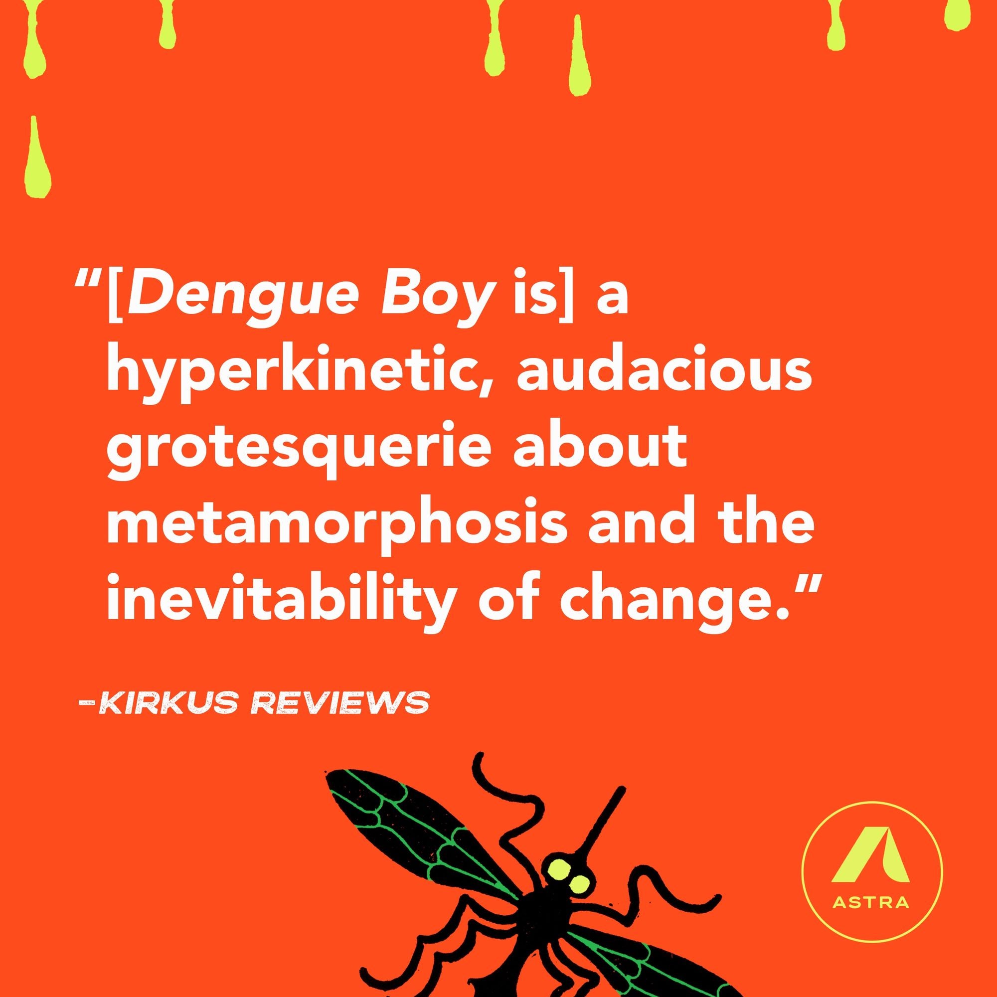 Dengue Boy: A Novel