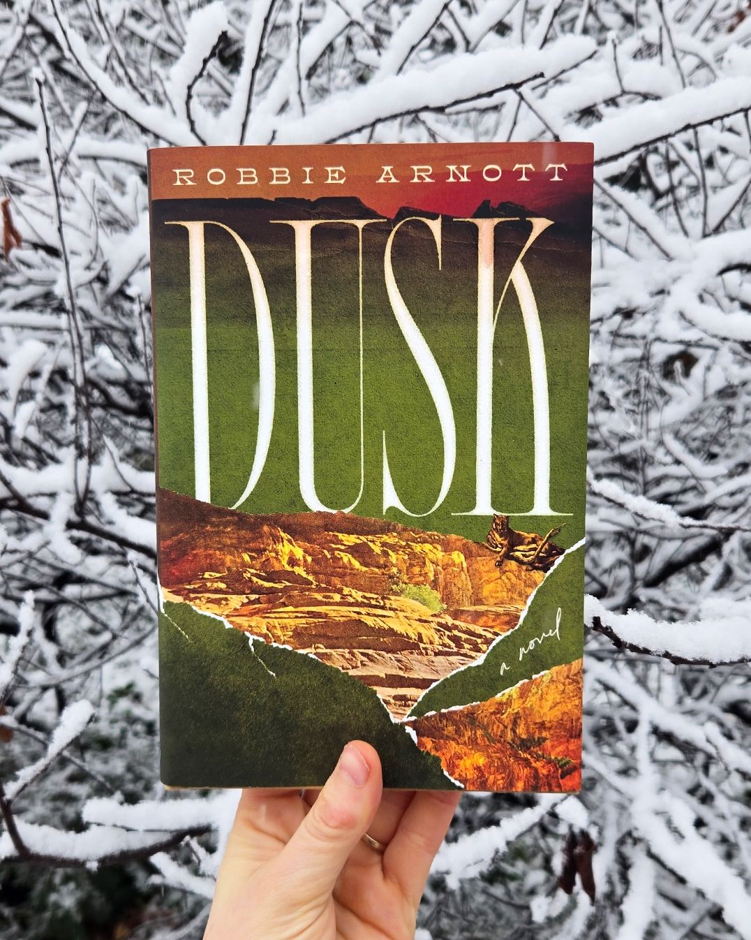 Dusk: A Novel