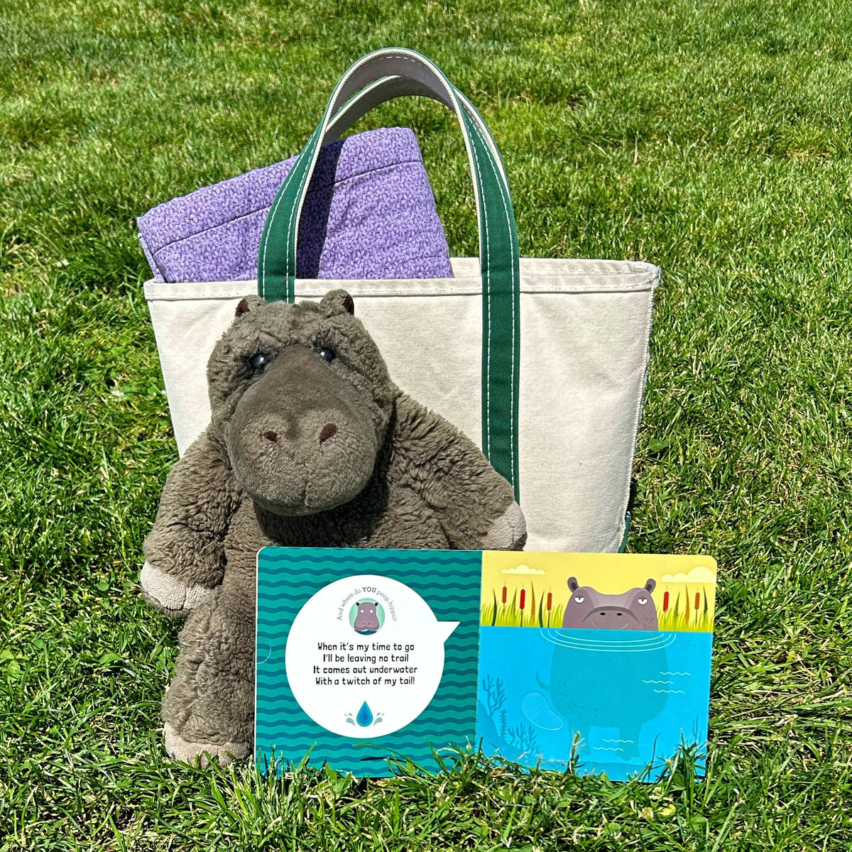 Where Do You Poop? A potty training board book