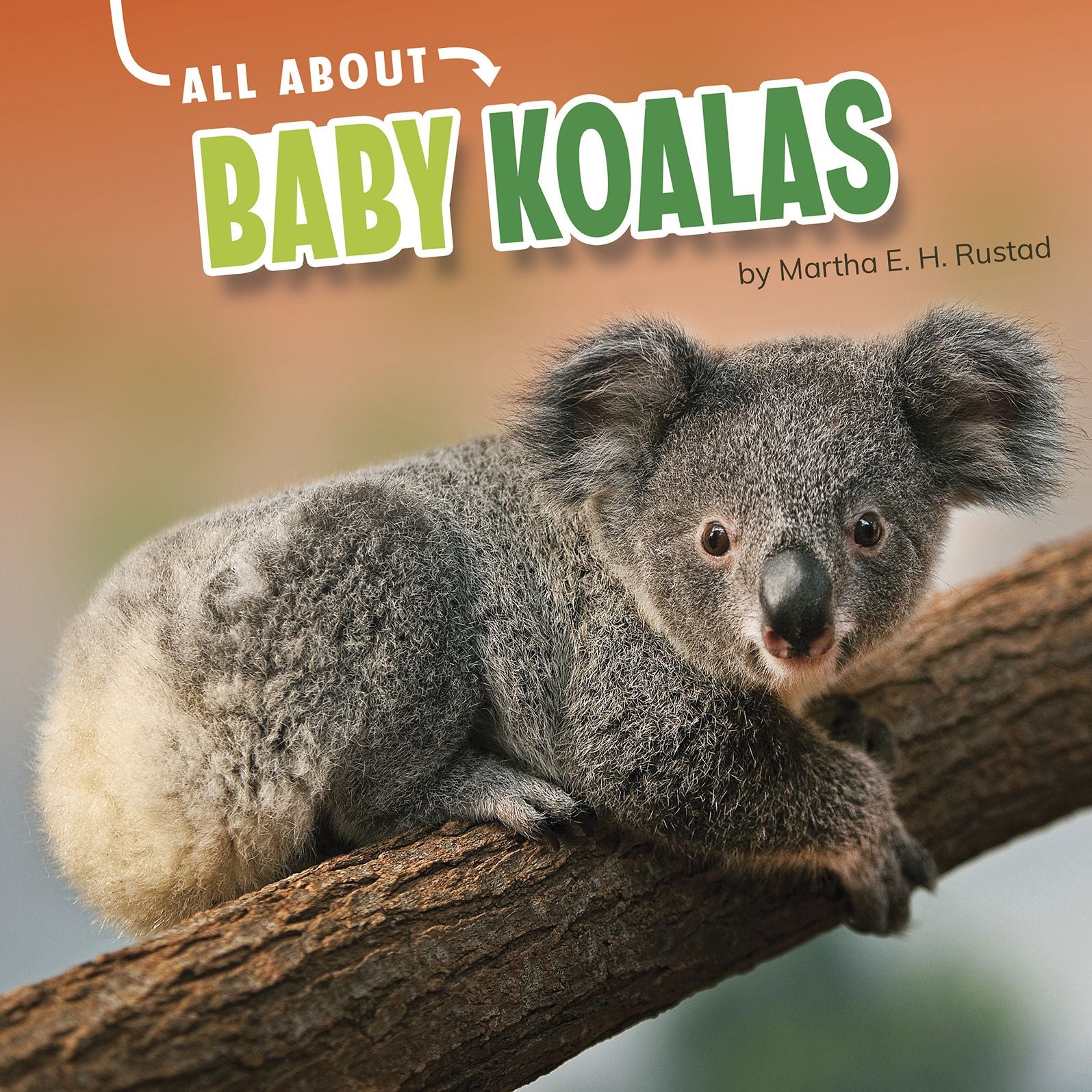 All About Baby Koalas