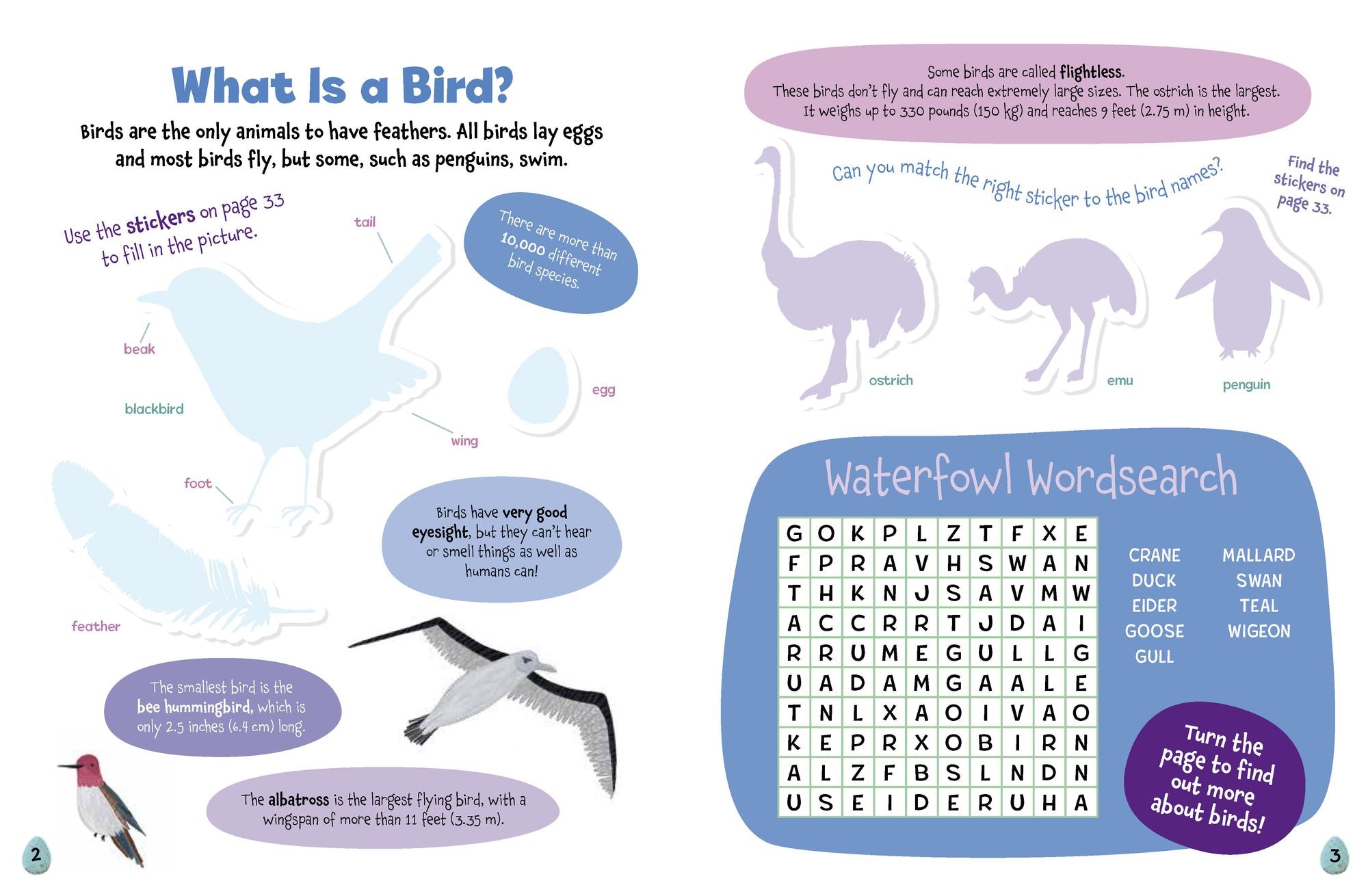 All About Birds Sticker Activity Book: With 100 Stickers!