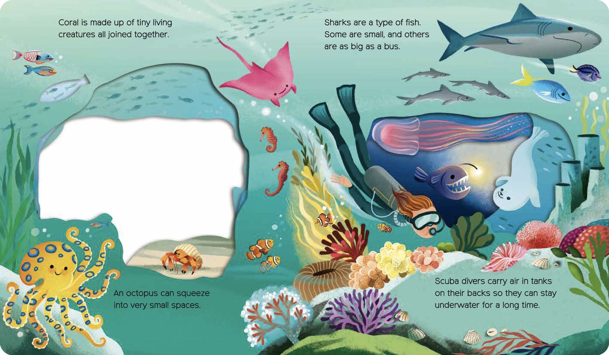 What Can You See? Under the Sea: With peek-through pages and fun facts!