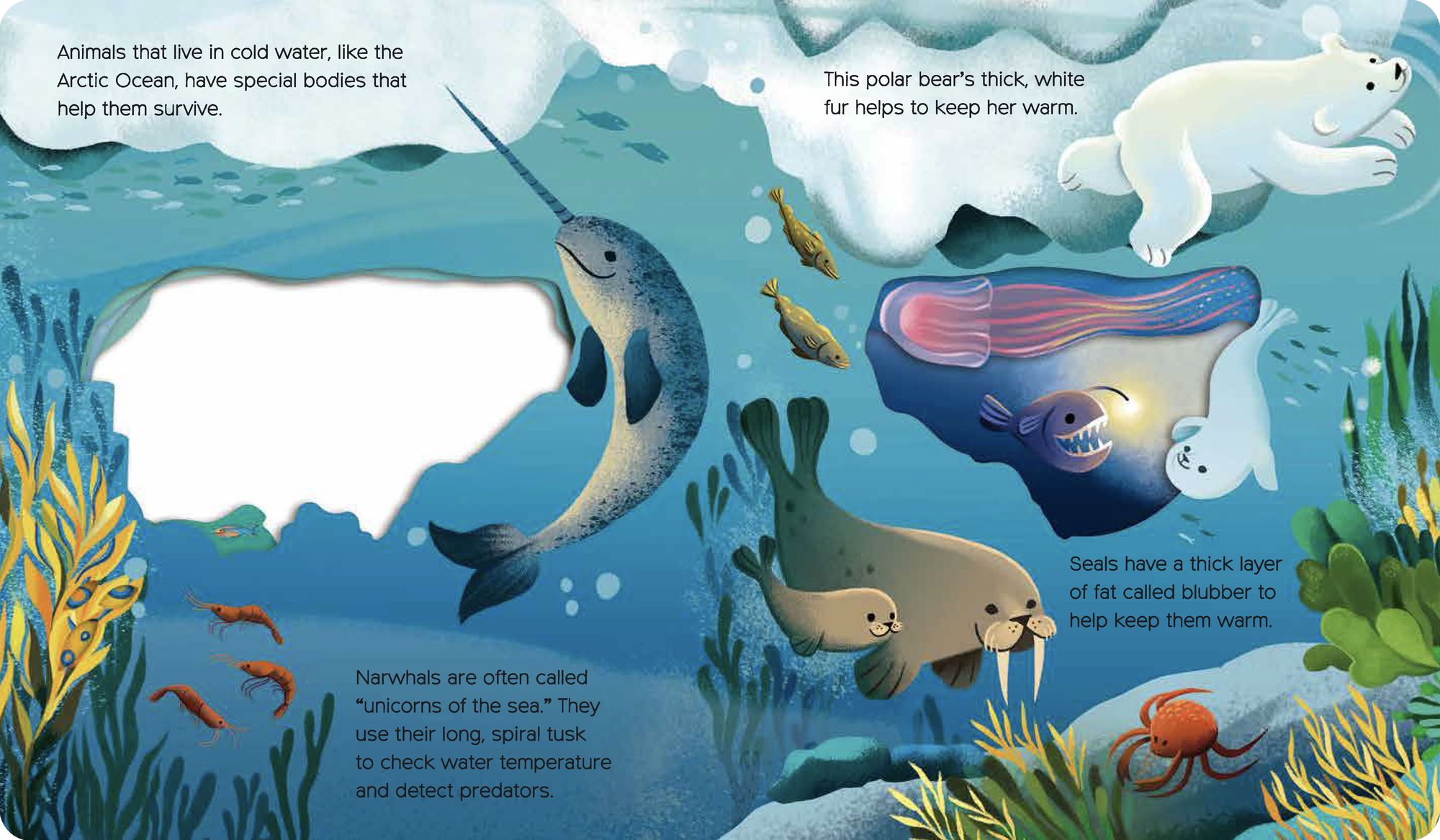 What Can You See? Under the Sea: With peek-through pages and fun facts!