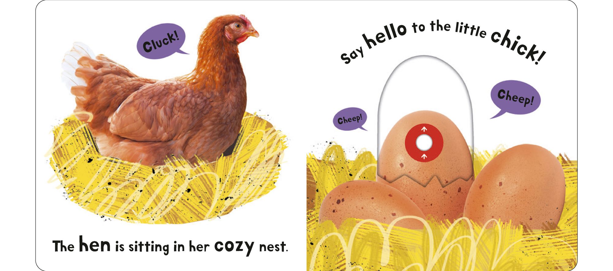 Farm: My First Touch and Explore: Multi-sensory Play!