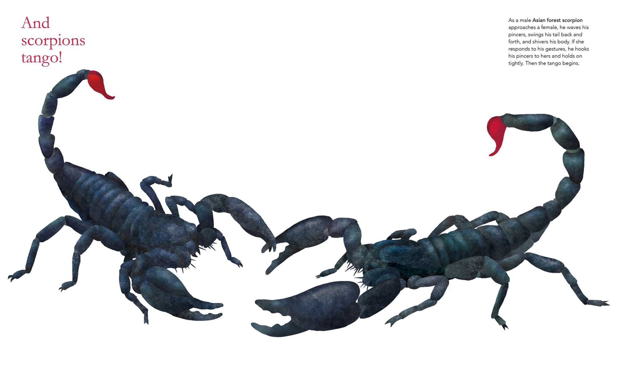 Shall We Dance?