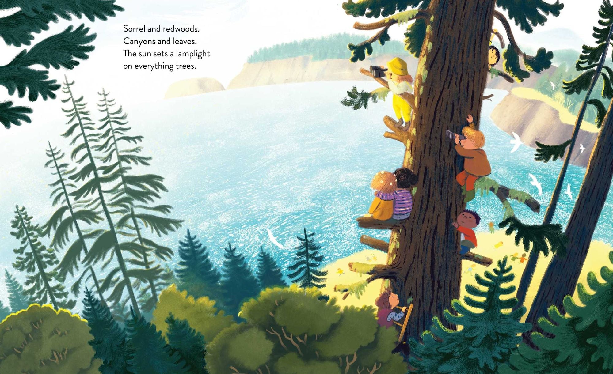 The Everything Trail