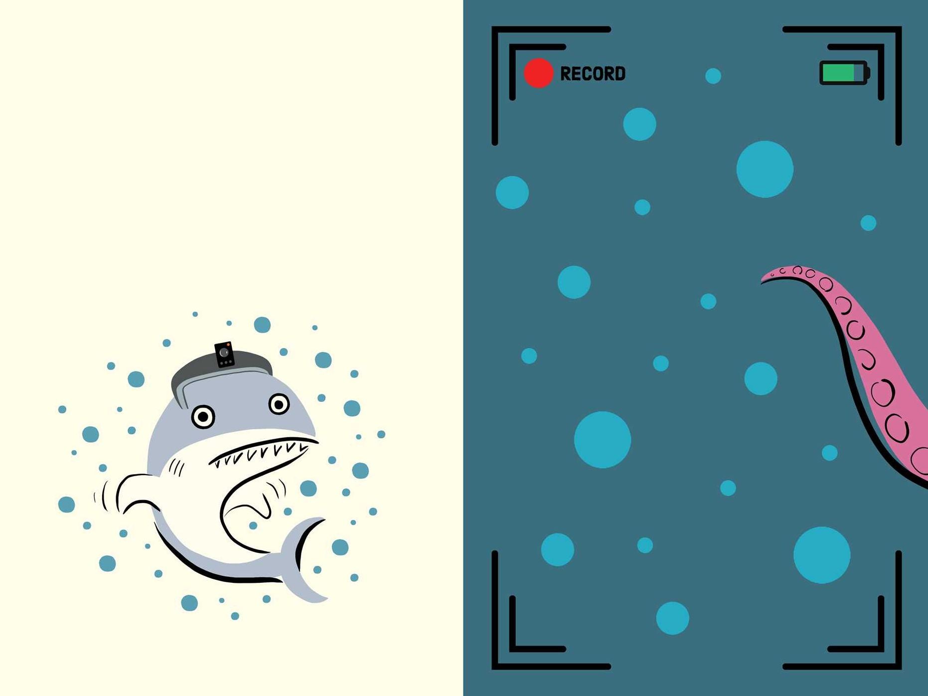 Shark-Cam: Ready-to-Read Pre-Level 1