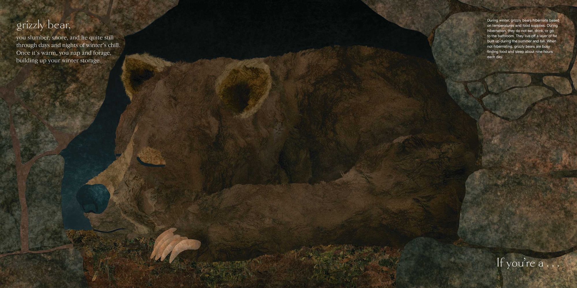Sleepy: Surprising Ways Animals Snooze