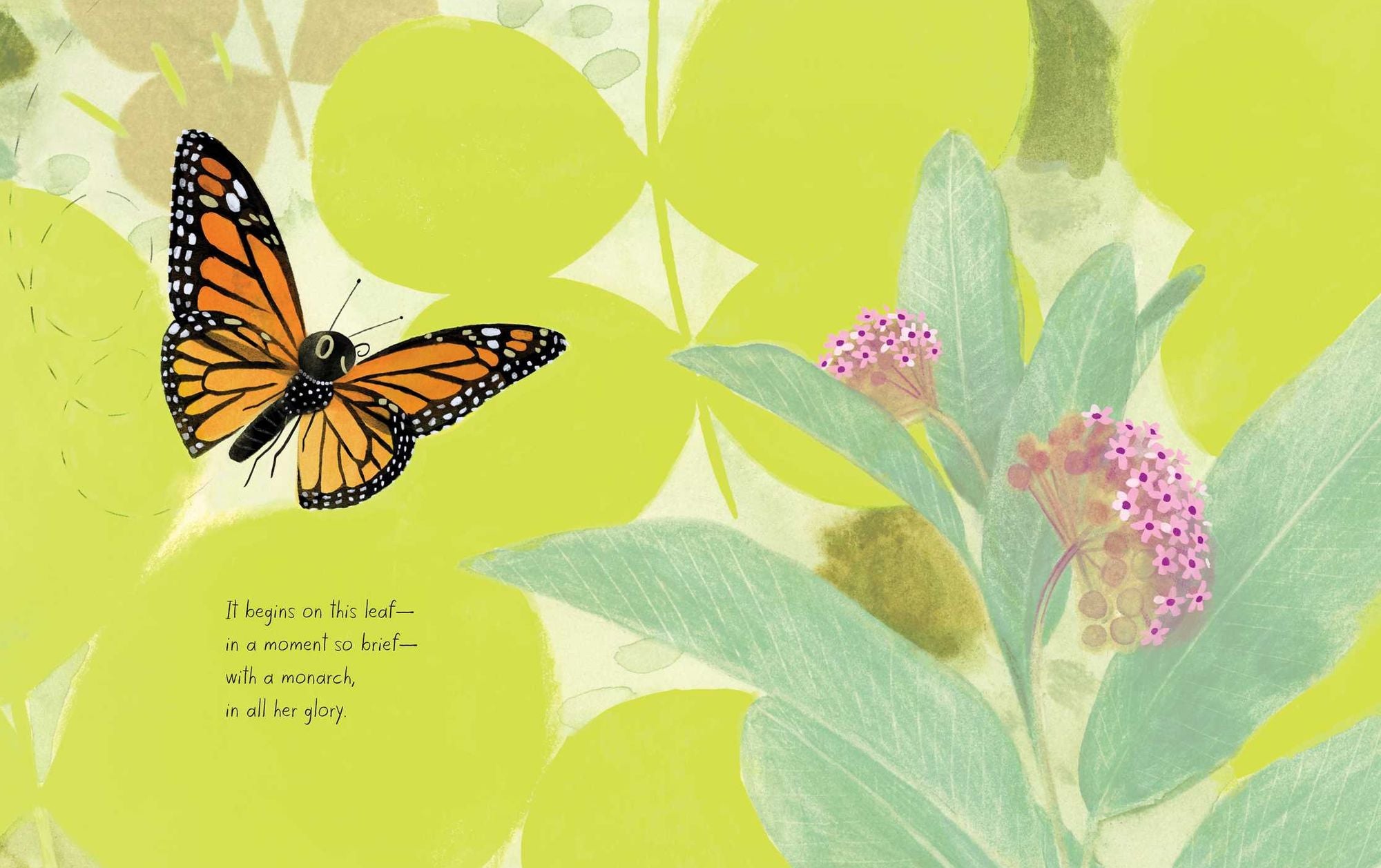 The Monarch