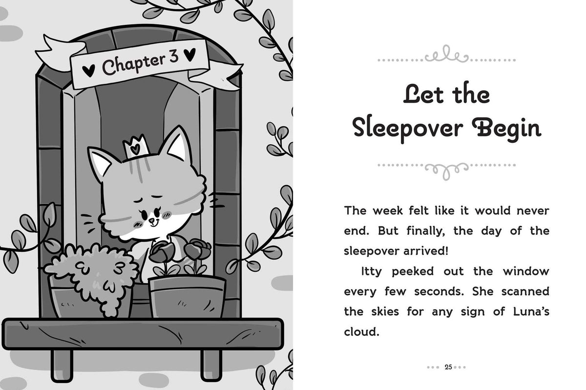 Sleepover Surprise