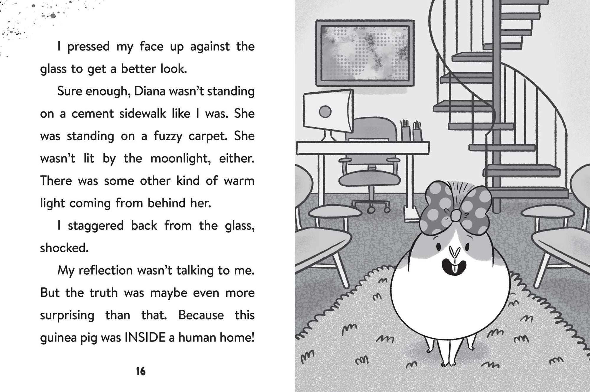 In the Pet House