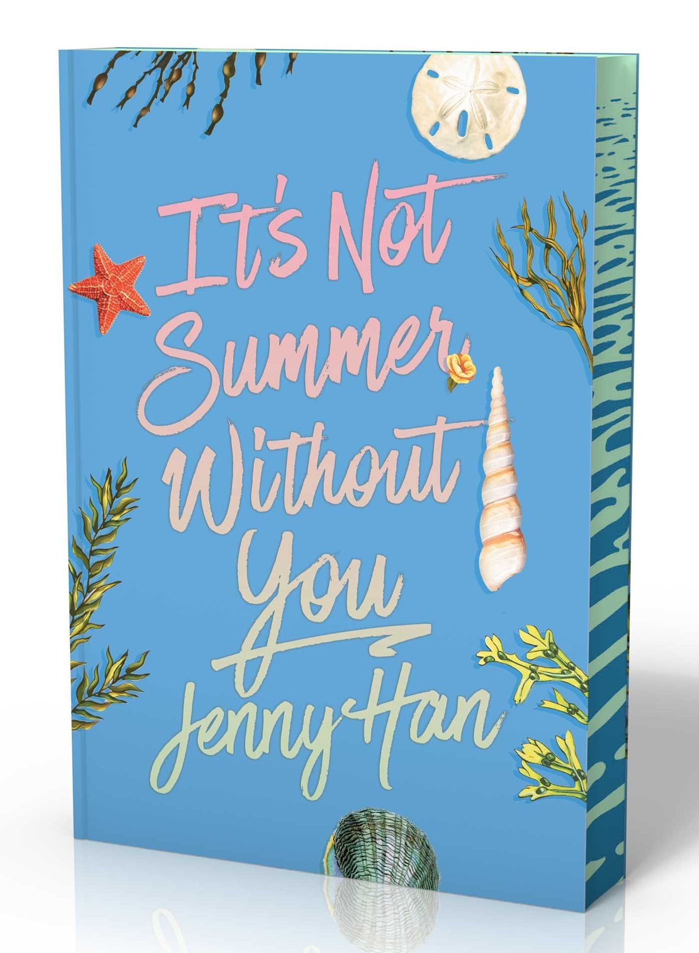 It's Not Summer Without You (Deluxe Edition)