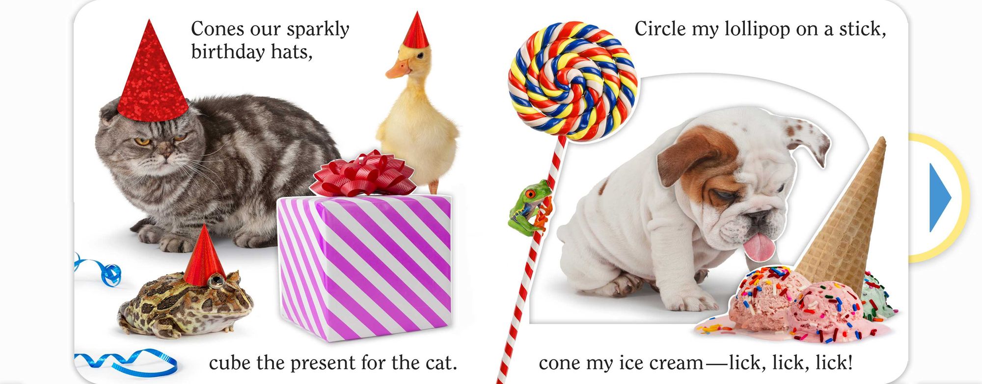 Shape Pet