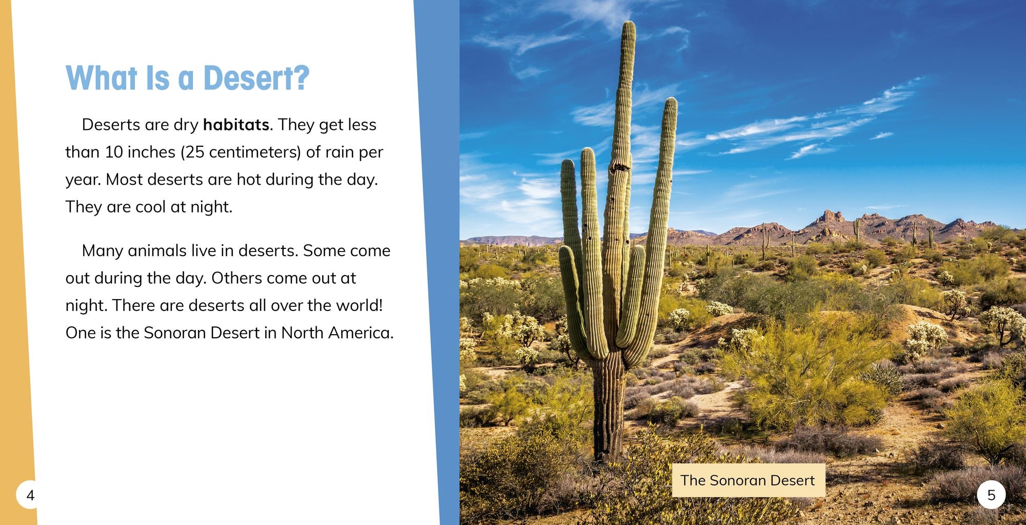 Day and Night in the Desert