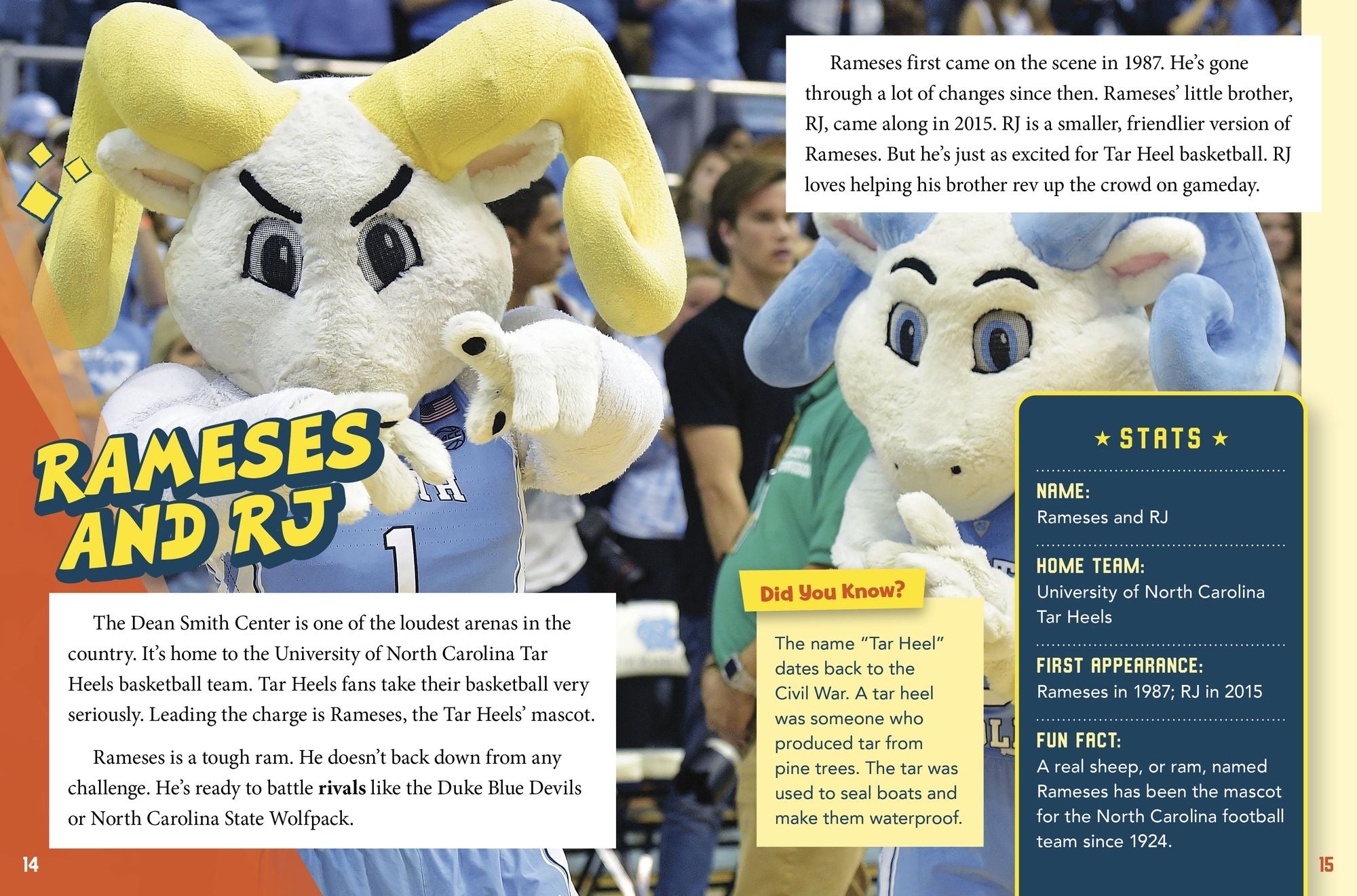 Basketball's Zaniest Mascots: From Benny the Bull to Stuff the Magic Dragon