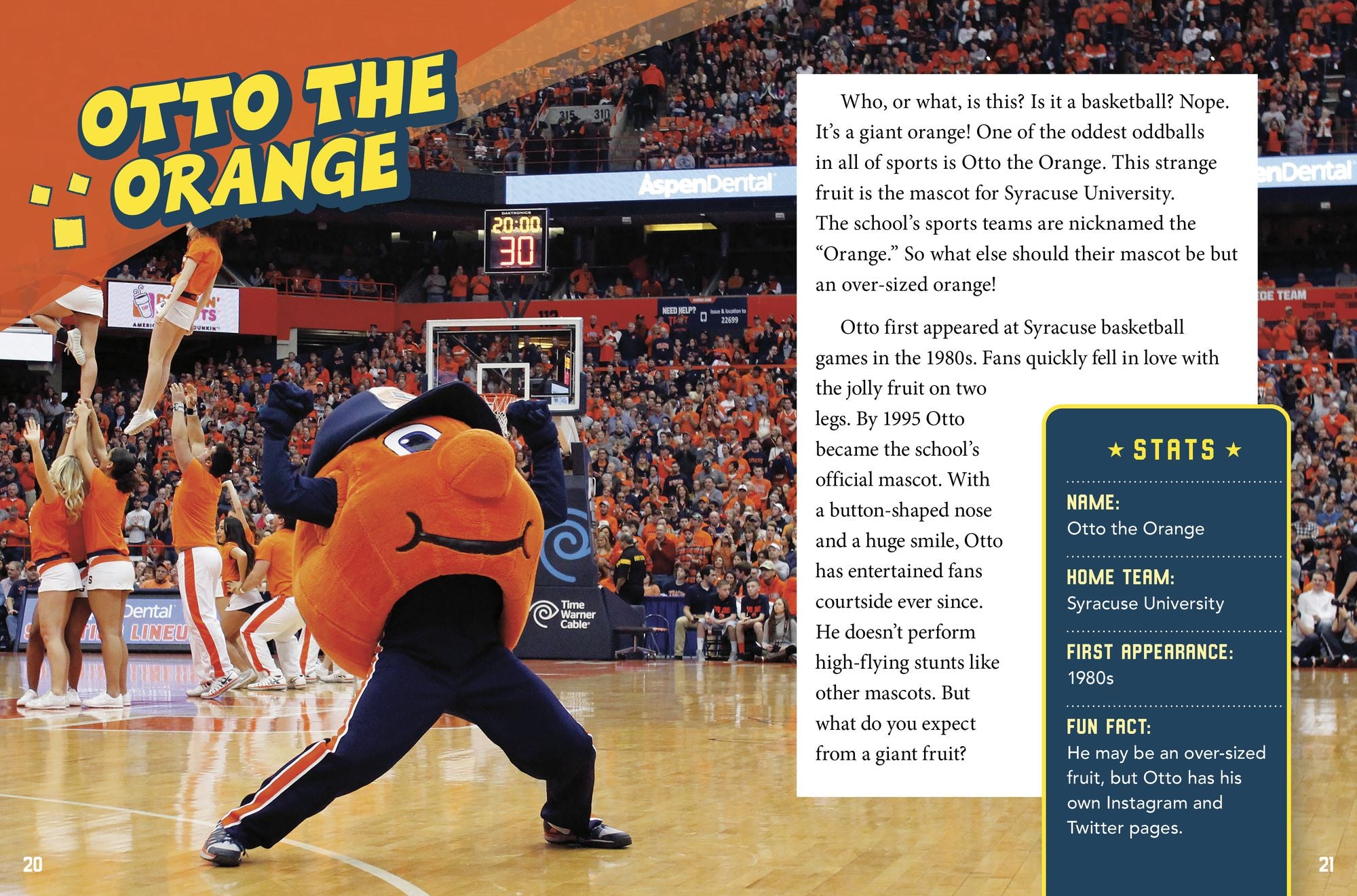 Basketball's Zaniest Mascots: From Benny the Bull to Stuff the Magic Dragon