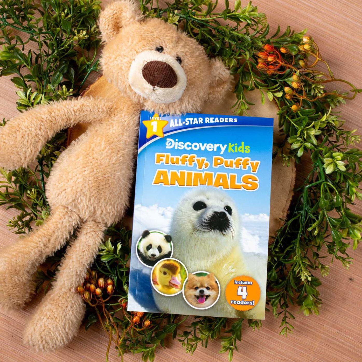 Discovery Kids All-Star Reader: Fluffy, Puffy Animals! Level 1