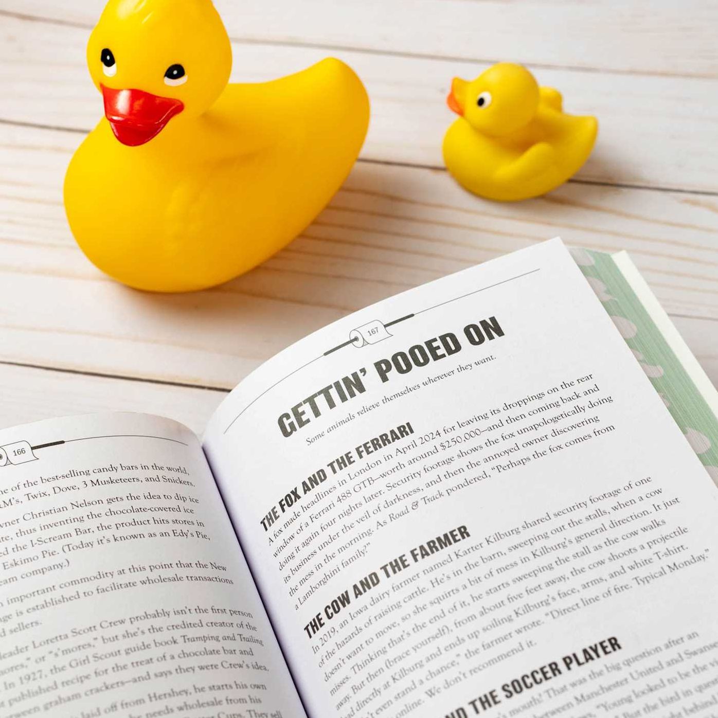 Uncle John's Know It All Bathroom Reader: Superior Trivia! Amazing Facts and Figures!