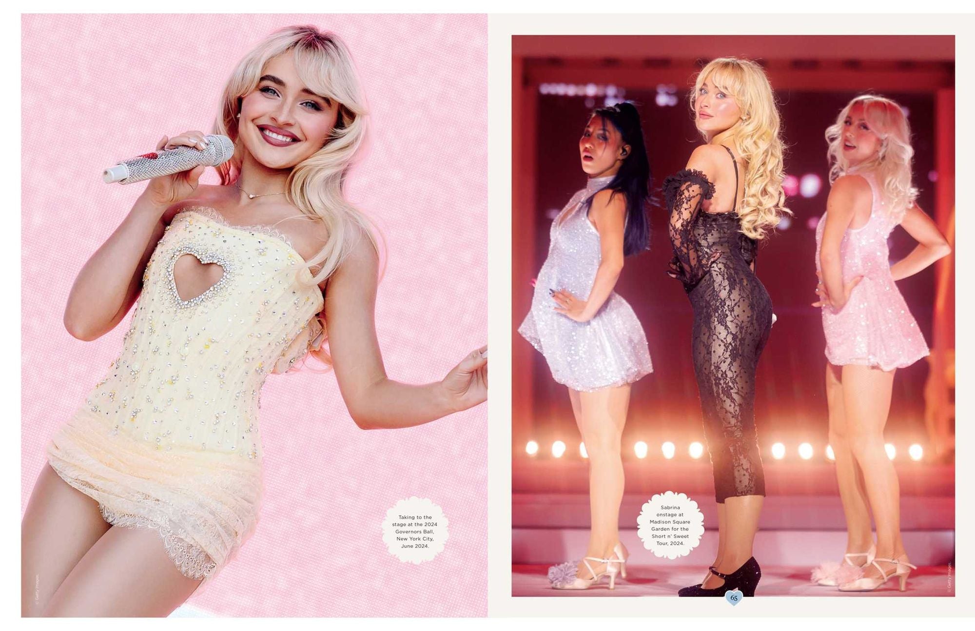 Sabrina Carpenter Through the Years Fan Book
