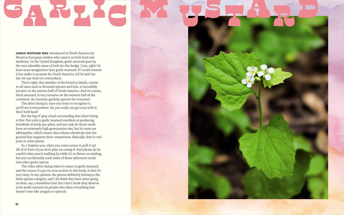 Happy Snacking, Don't Die!: Foraging and Vegan Recipes with Black Forager (A Cookbook)