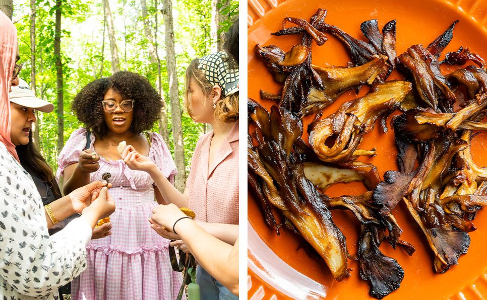 Happy Snacking, Don't Die!: Foraging and Vegan Recipes with Black Forager (A Cookbook)