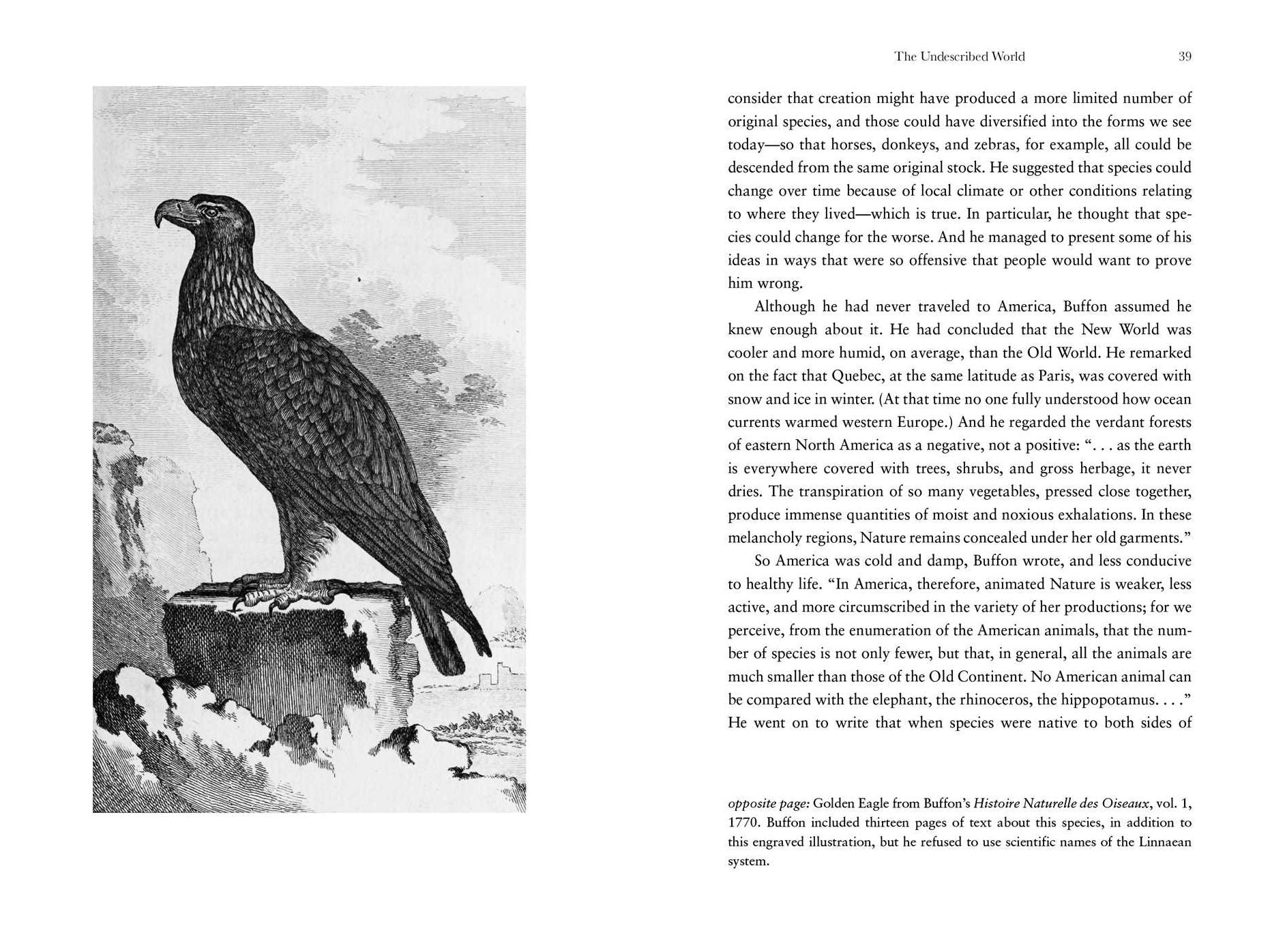 The Birds That Audubon Missed: Discovery and Desire in the American Wilderness