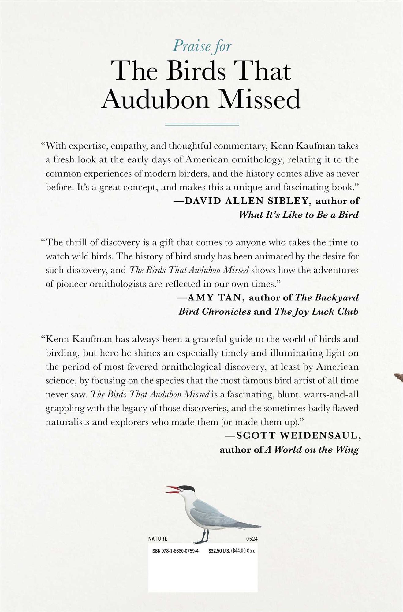 The Birds That Audubon Missed: Discovery and Desire in the American Wilderness