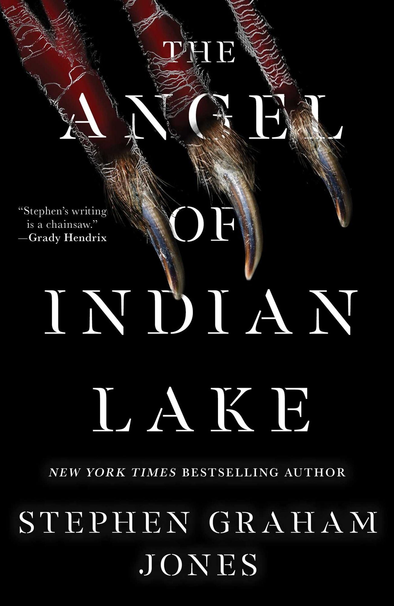 The Angel of Indian Lake (Indian Lake Trilogy #3)