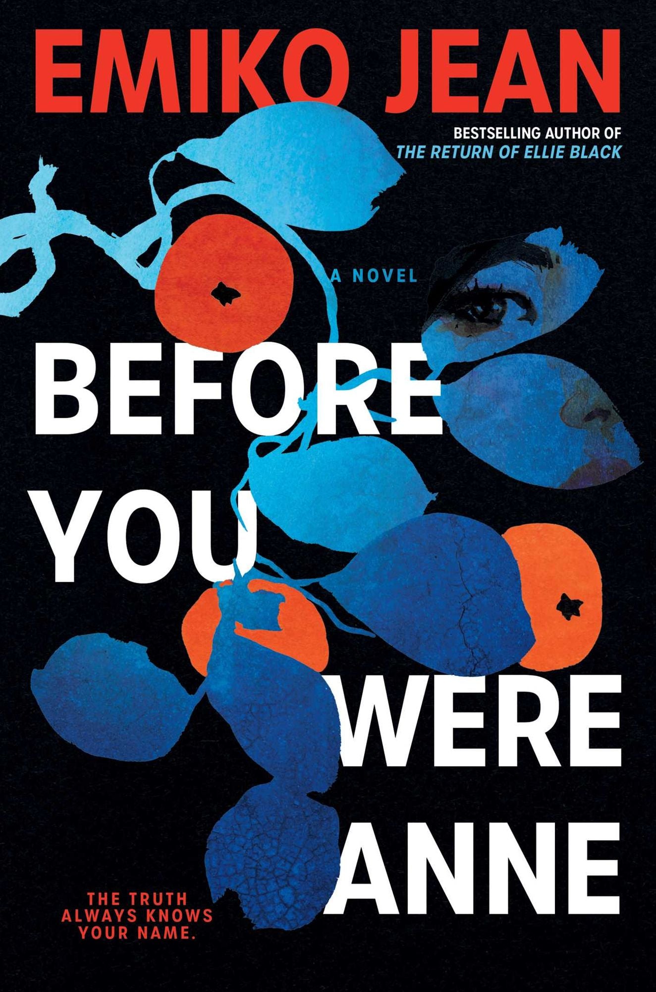 Before You Were Anne: A Novel
