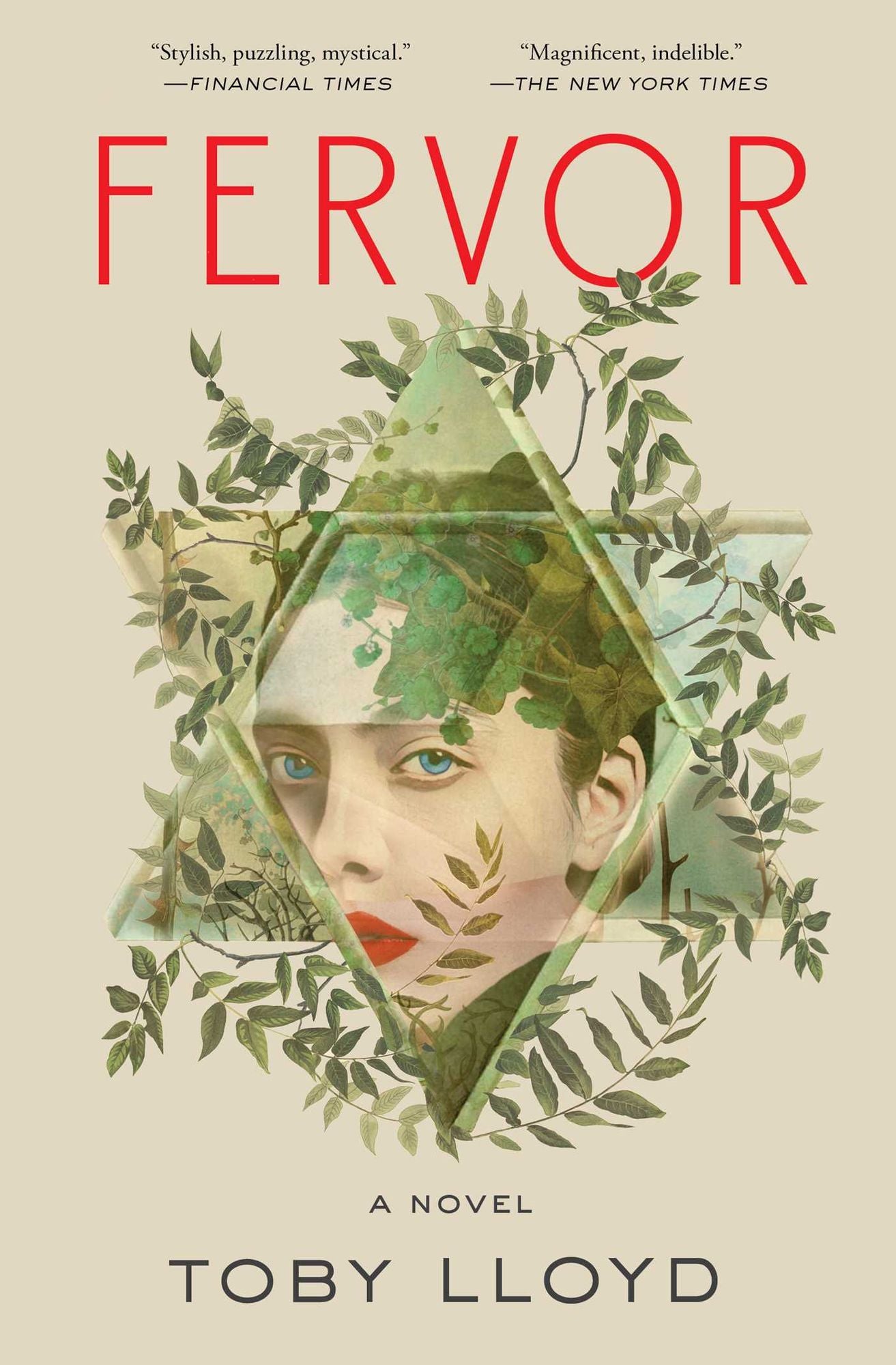Fervor: A Novel