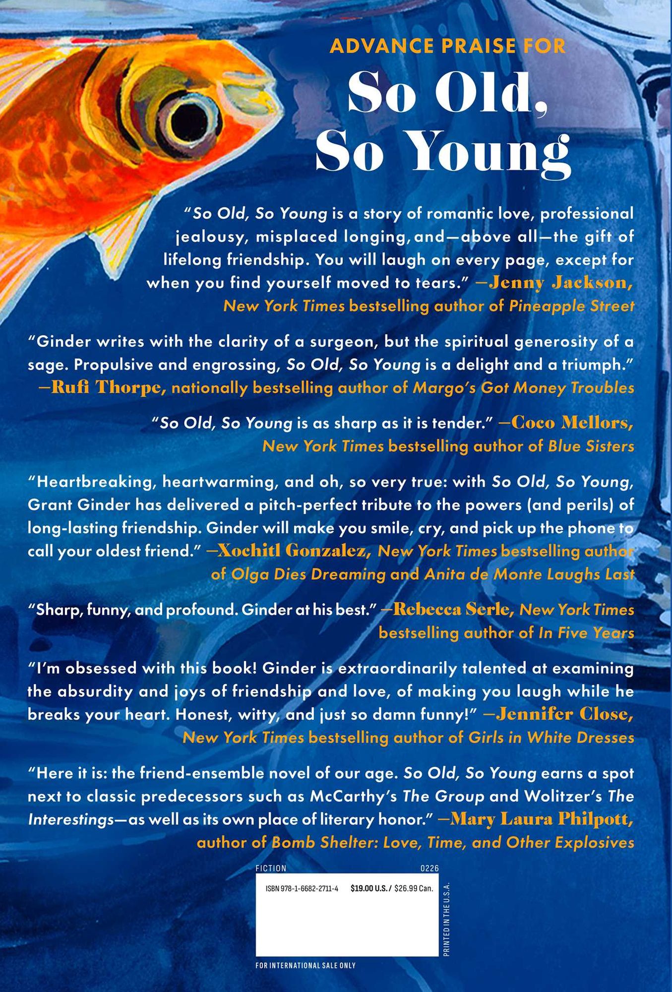 So Old, So Young: A Novel