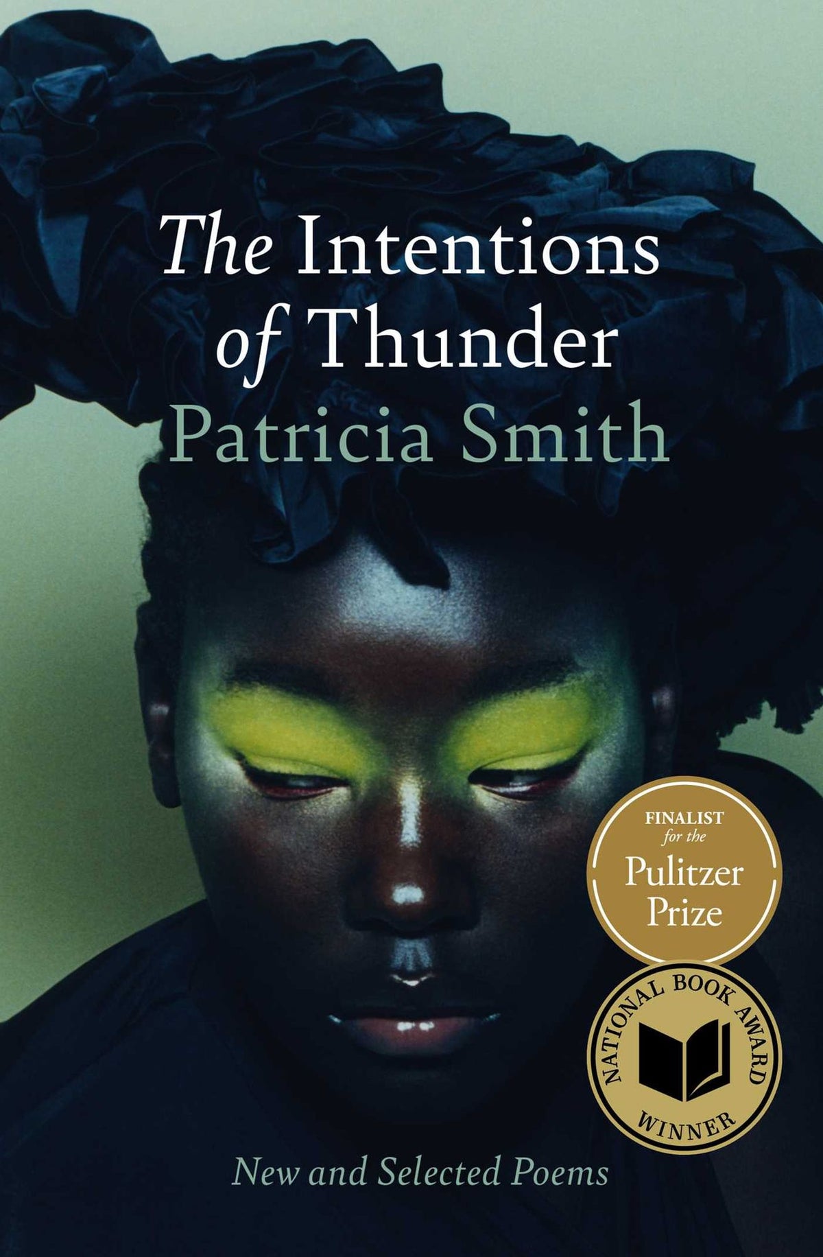 The Intentions of Thunder: New and Selected Poems