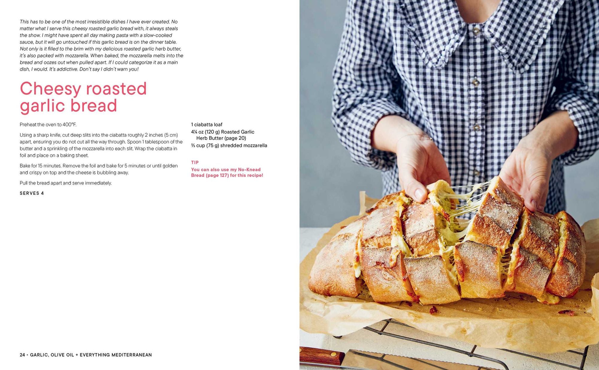 Garlic, Olive Oil + Everything Mediterranean: Simple Recipes for the Home Cook (A Cookbook)
