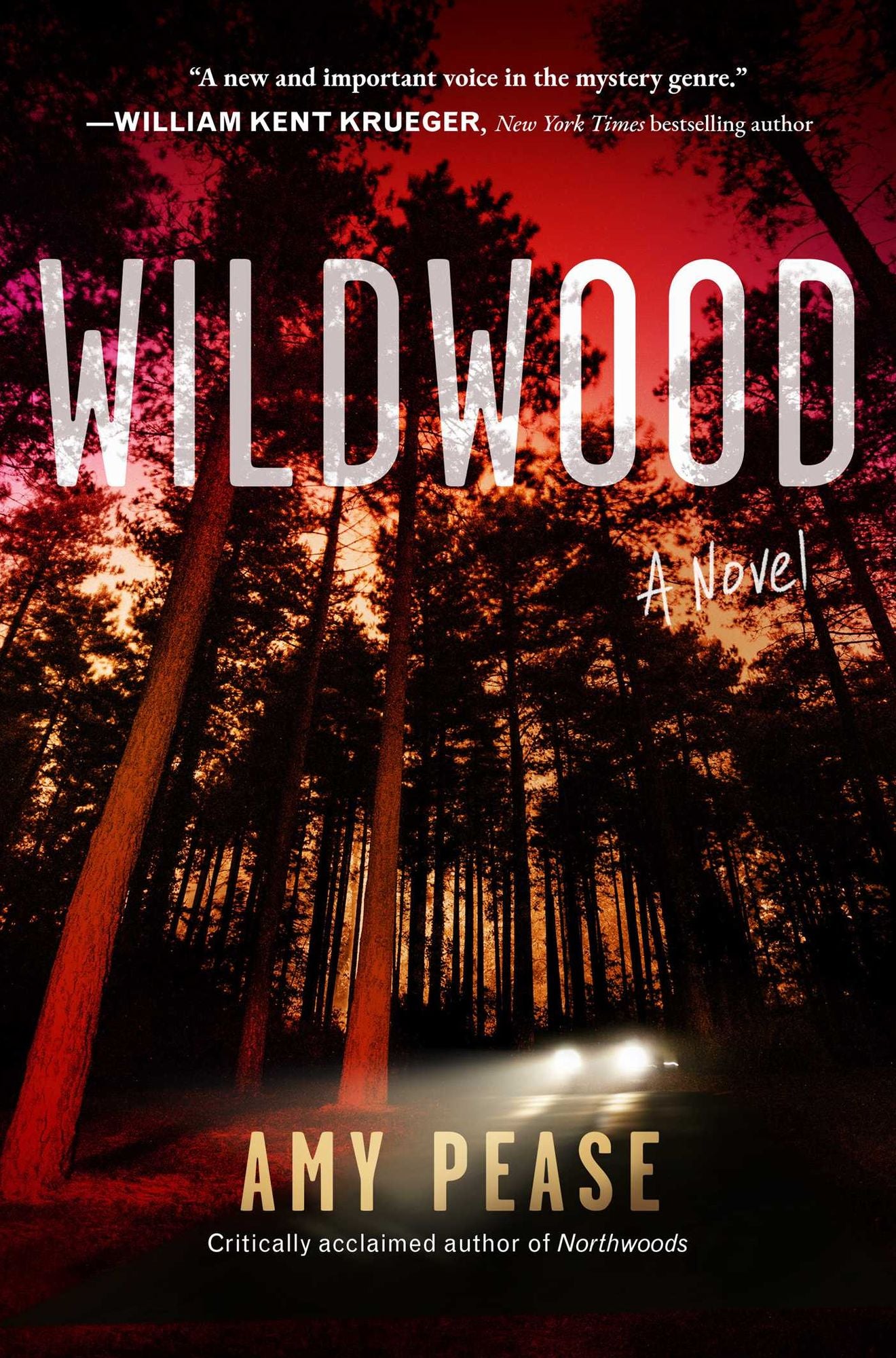 Wildwood: A Novel