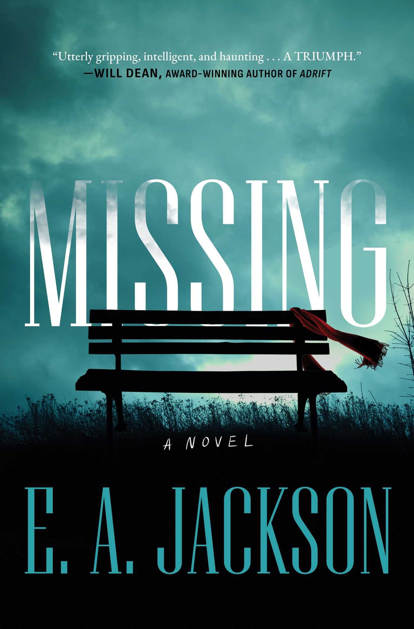 Missing: A Novel