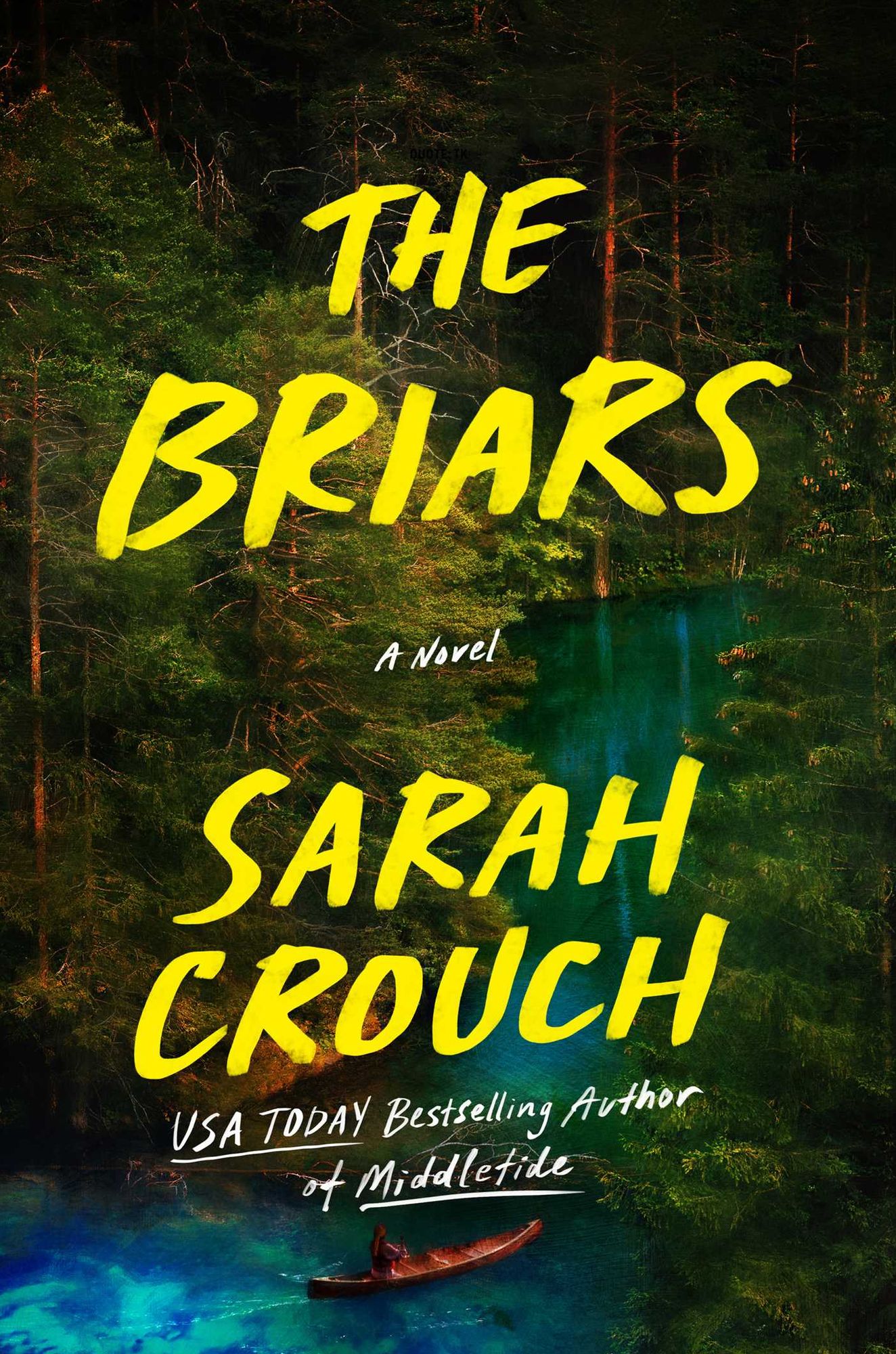 The Briars: A Novel
