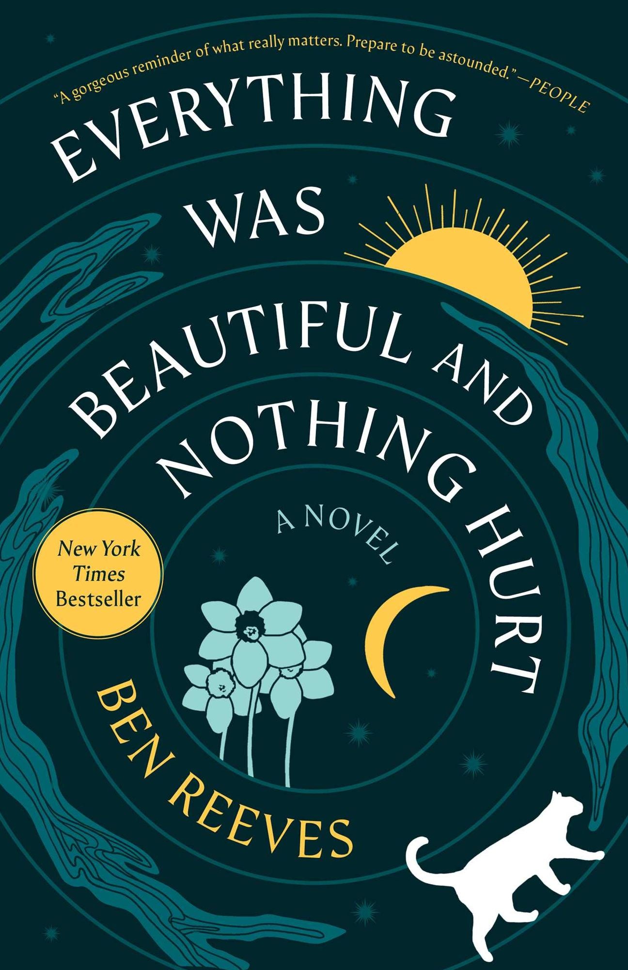 Everything Was Beautiful and Nothing Hurt: A Novel