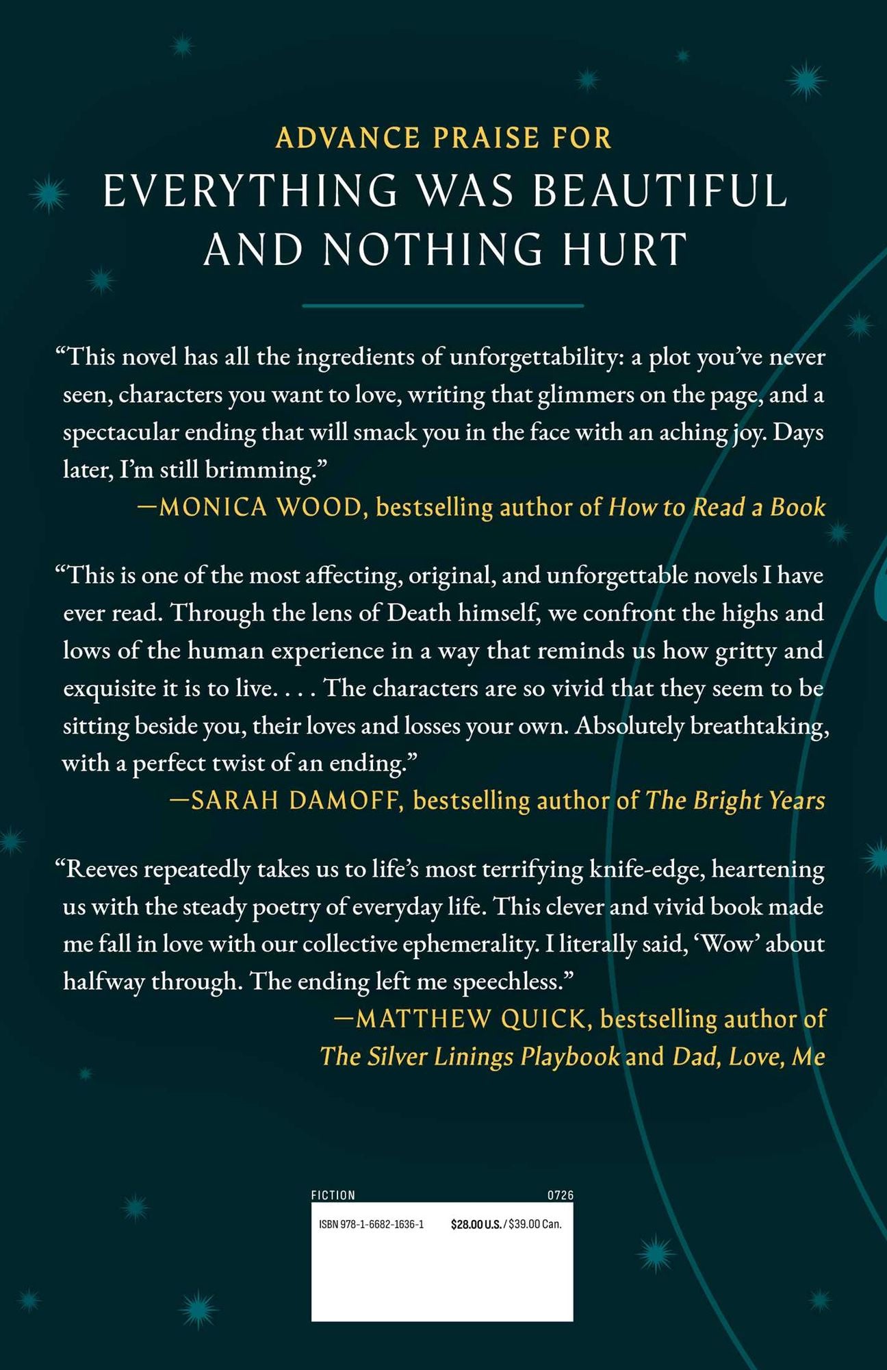 Everything Was Beautiful and Nothing Hurt: A Novel