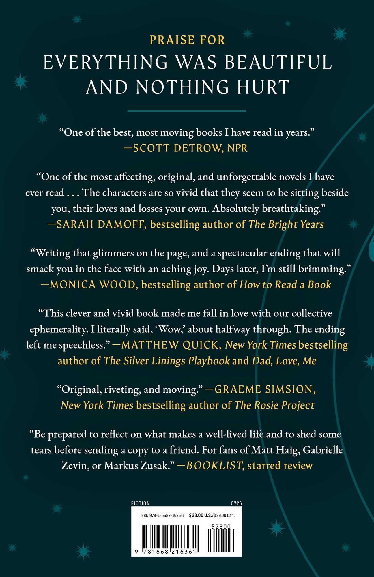 Everything Was Beautiful and Nothing Hurt: A Novel