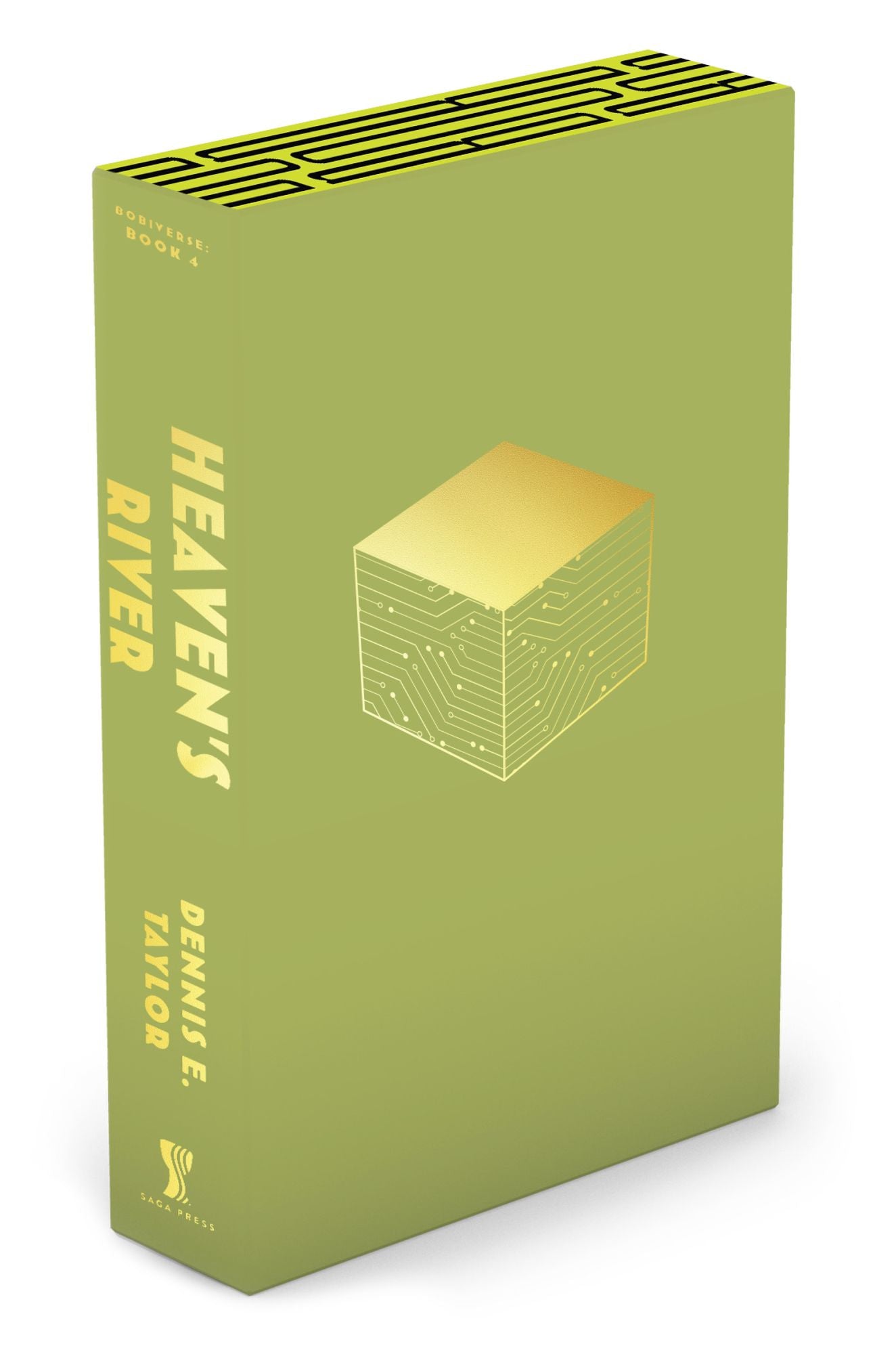 Heaven's River (Bobiverse Series #4)