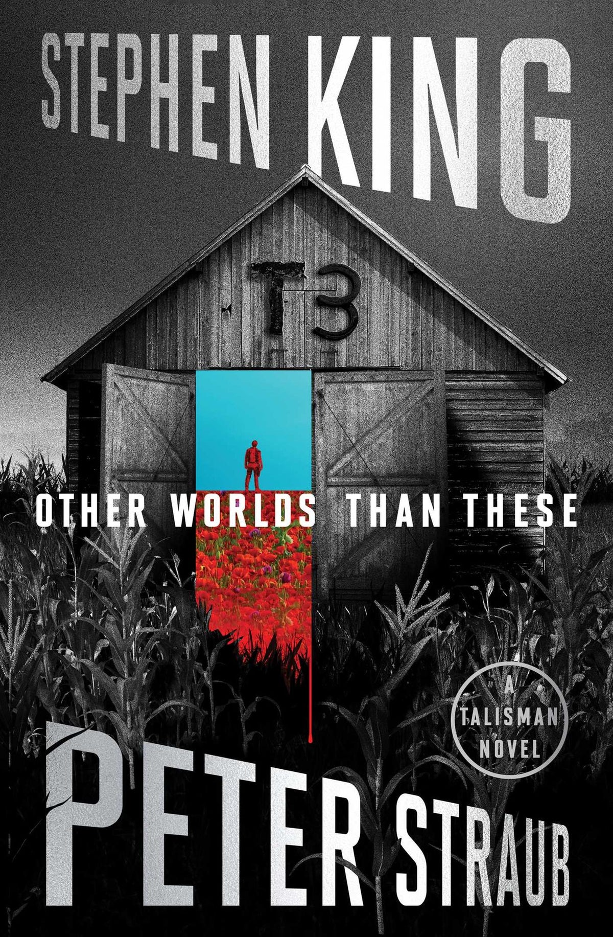 Other Worlds Than These (The Talisman #3)