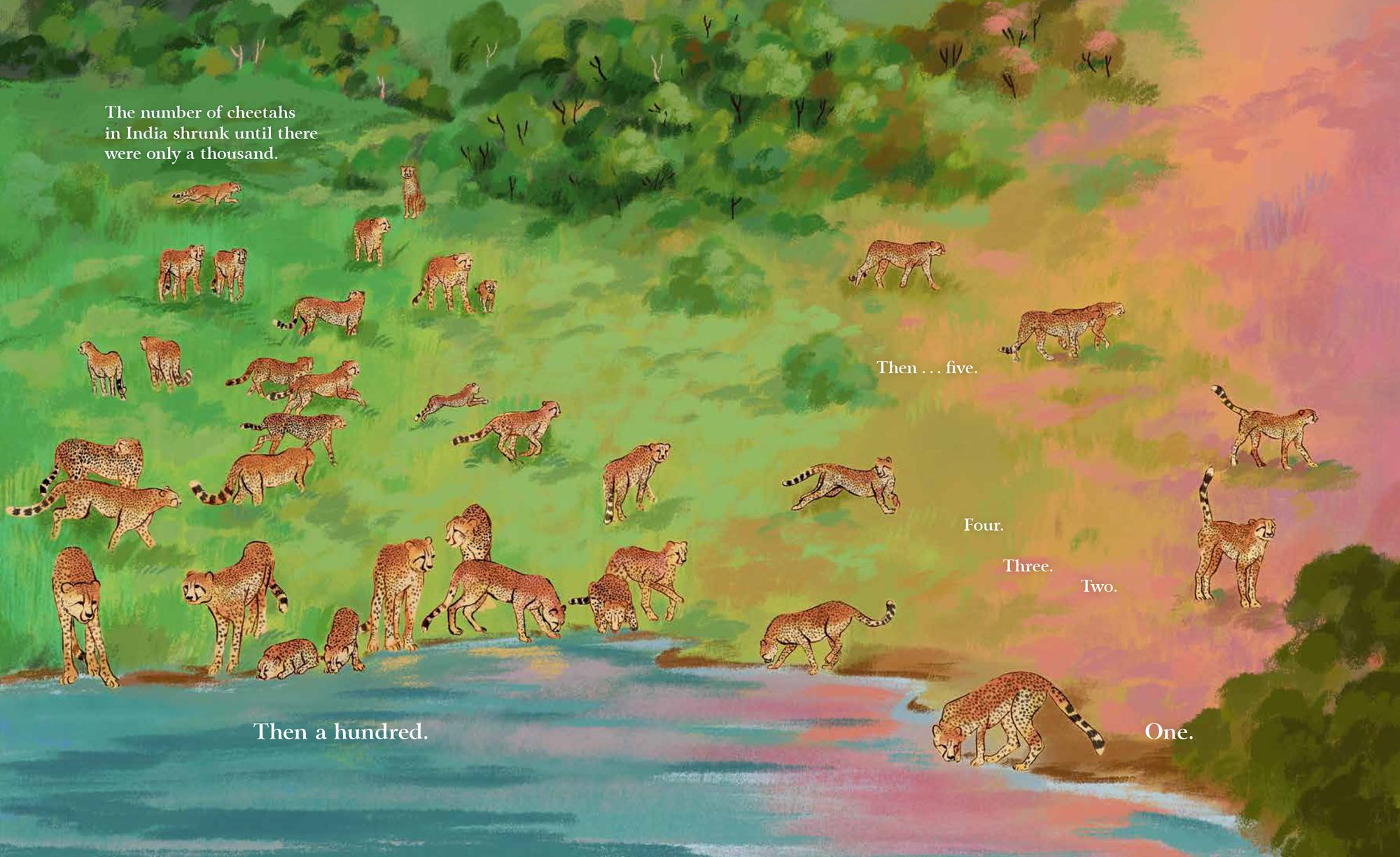 Cheetahs Return to India: The True Story of Aasha and Pavan