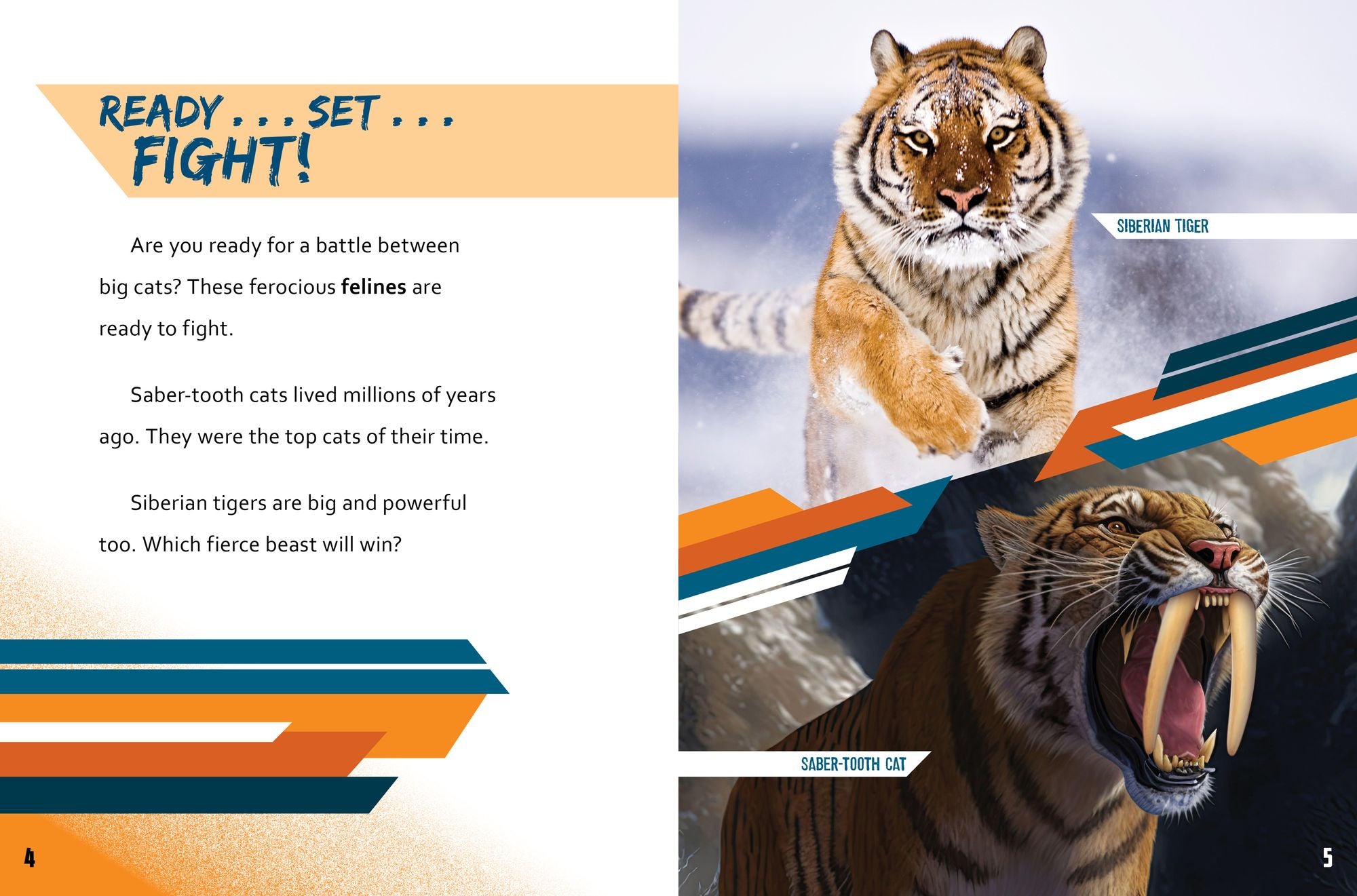 Siberian Tiger vs. Saber-Tooth Cat