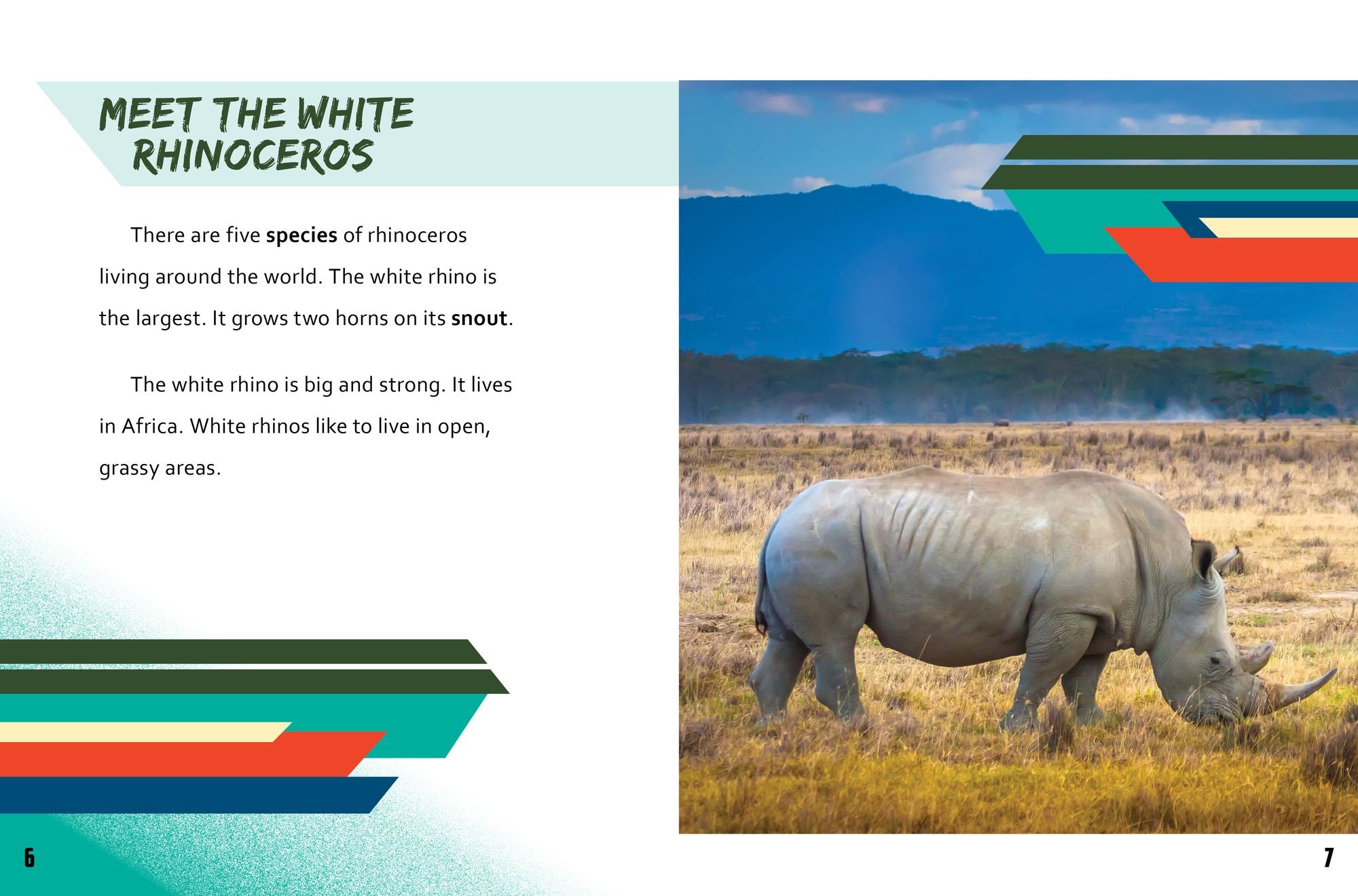 Rhinoceros vs. Triceratops