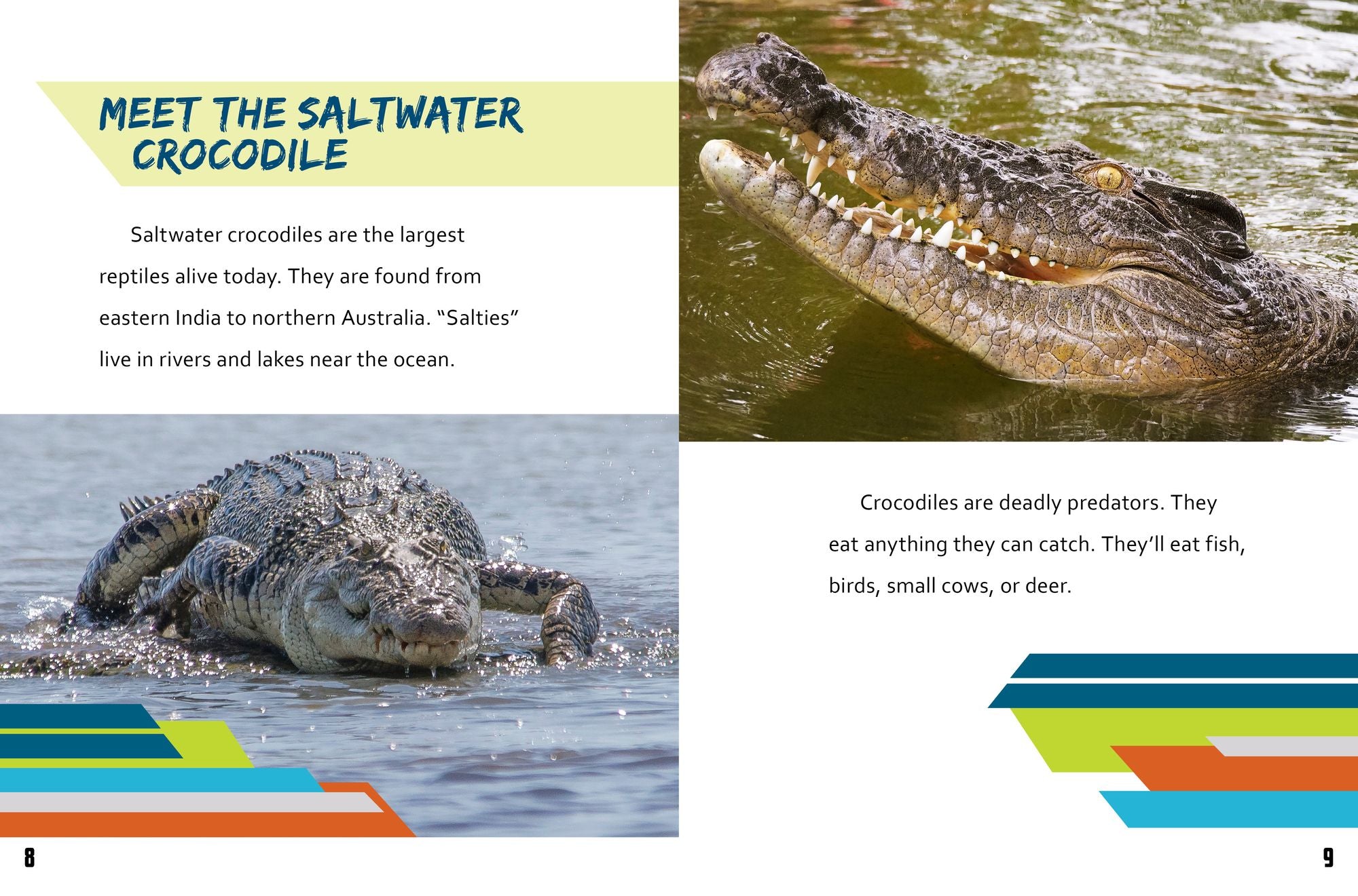 Crocodile vs. Deinosuchus