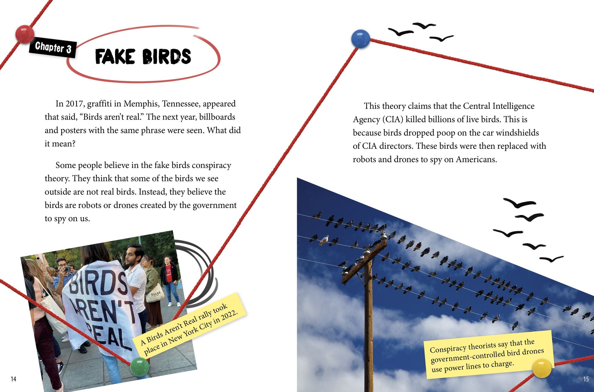 Fake Birds, Flat Earth, and More Conspiracy Theories About Our Planet