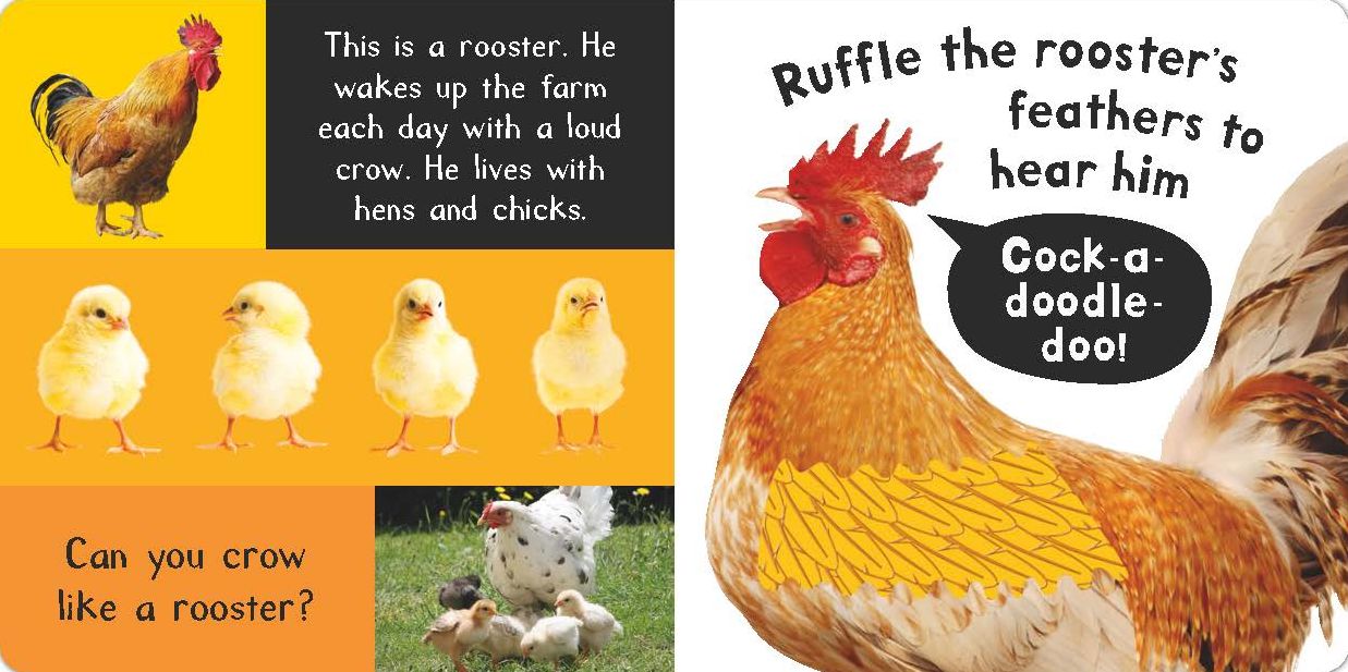Noisy Farm: Includes 6 Sounds and an On/Off Switch on the Back Cover!
