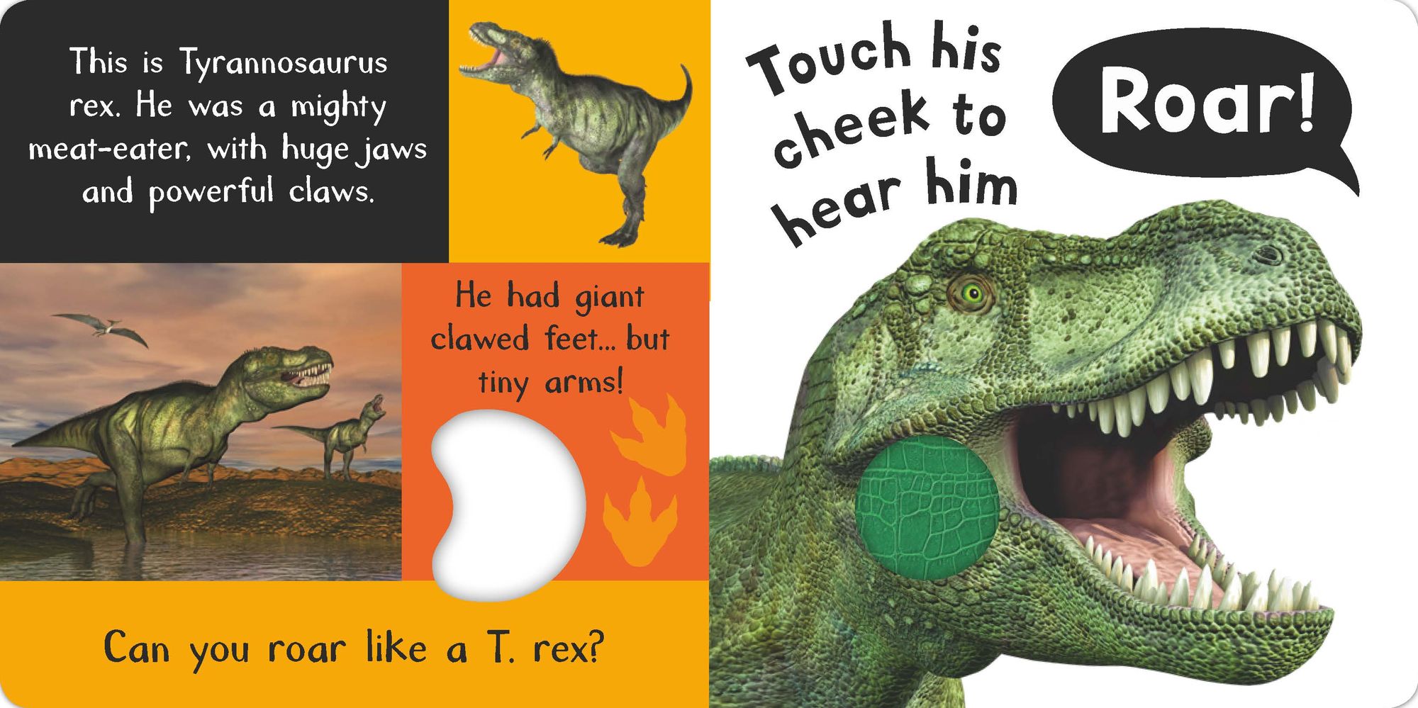 Noisy Dinosaurs: Includes 6 Sounds and an On/Off Switch on the Back Cover!
