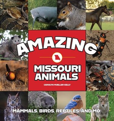 Amazing Missouri Animals